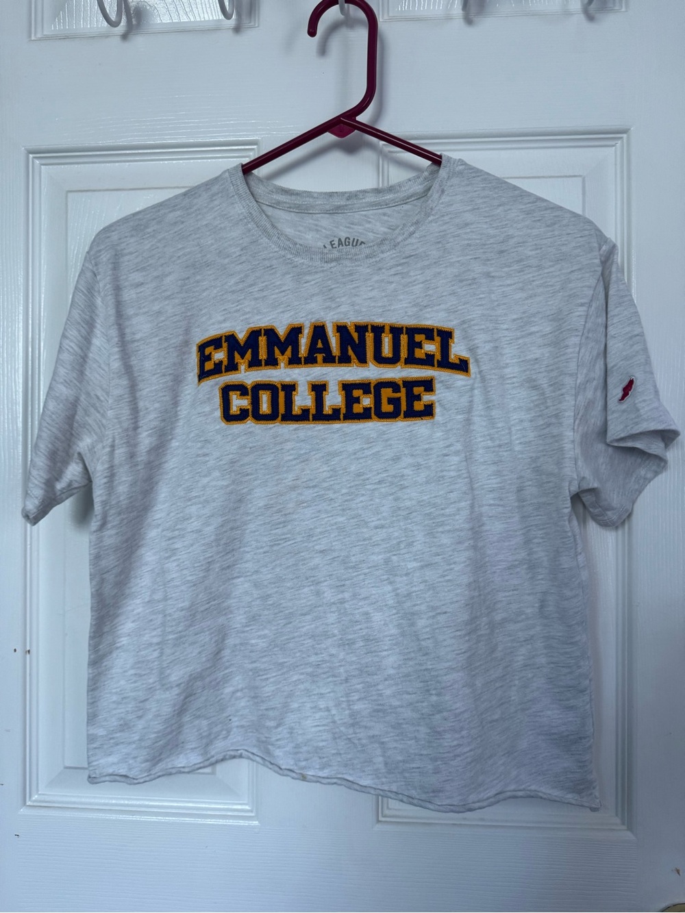 Emmanuel College women's Crew Neck T-Shirt in Light Gray cropped